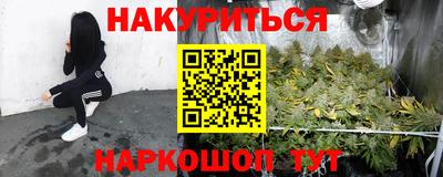 крисы Гагарин
