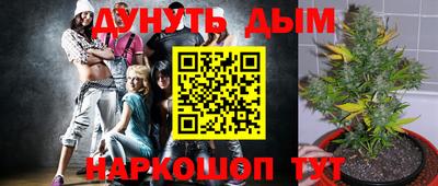 мдма Гатчина