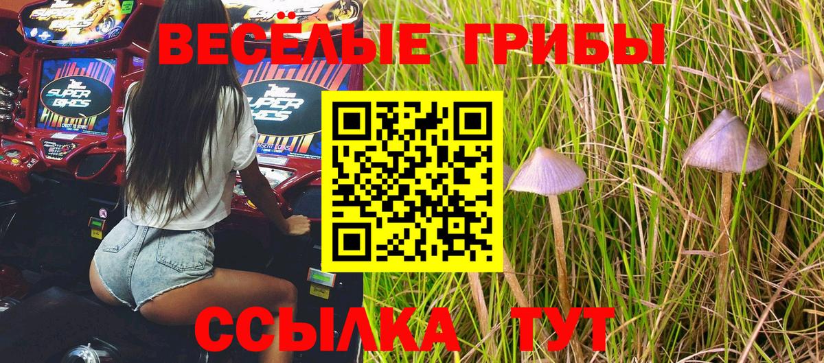 Псилоцибиновые грибы мицелий Кореновск