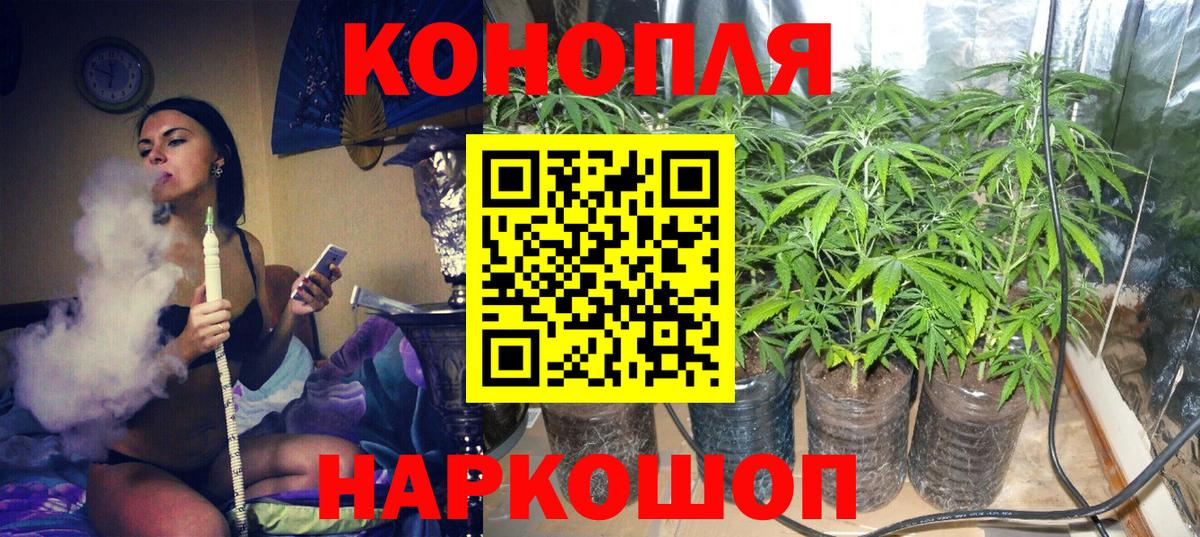 Канабис марихуана Кореновск